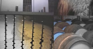 Les Champs Aromatiques.