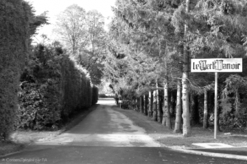 Dégustation Du 01 Juillet 2025 : Scallywag – Mossburn – The Peat Monster.