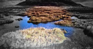 Sommes-nous en train de vivre la fin du whisky tourbé ?