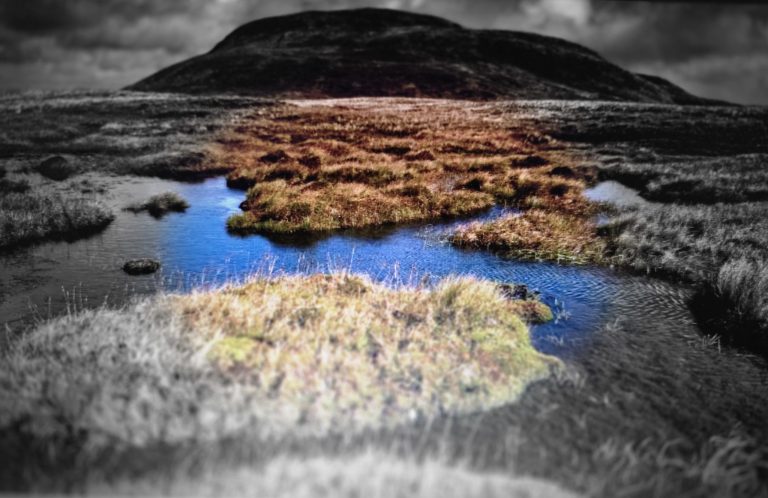 Sommes-nous en train de vivre la fin du whisky tourbé ?