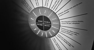 Les Familles d&rsquo;Arômes Du Whisky.